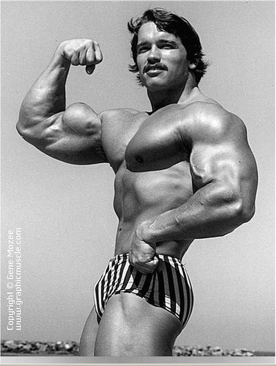 arnold4.jpg