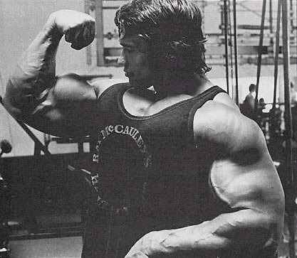 arnold5.jpg