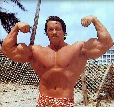 arnold9.jpg