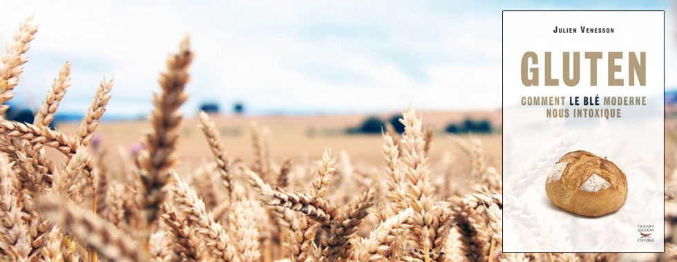 Gluten : comment le blé moderne nous intoxique