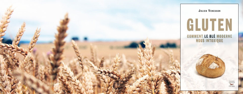 Gluten : comment le blé moderne nous intoxique Gluten : comment le blé moderne nous intoxique