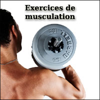 Exercices de musculation