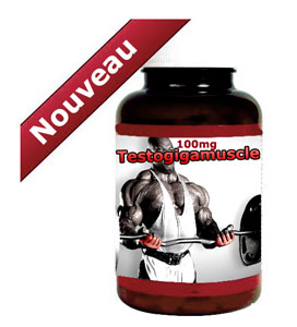 Testogigamuscle : se muscler rapidement